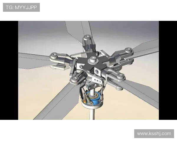 直升机桨叶的结构载荷监测